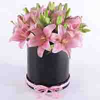 Pink Asiatic Lilies In Black Box